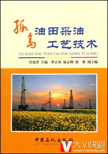 孤岛油田采油工艺技术肖建洪(作者)中国石化出版社