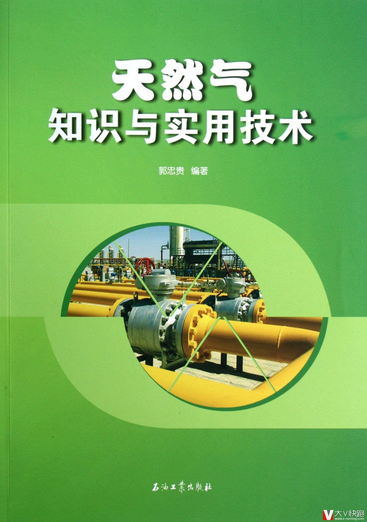 天然气知识与实用技术郭忠贵(作者)现货石油工业出版社9787502191887