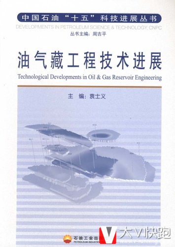 油气藏工程技术进展袁士义(编者)中国石油十五科技进展丛书