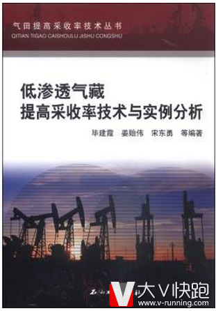 气田提高采收率技术丛书：低渗透气藏提高采收率技术与实例分析