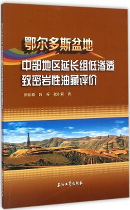 鄂尔多斯盆地中部地区延长组低渗透致密岩性油藏评价田东恩冯乔