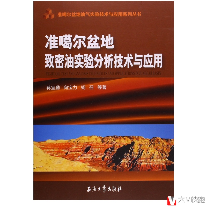 准噶尔盆地致密油实验分析技术与应用彩图准噶尔盆地油气实验技术与应用系列丛书现货蒋宜勤向宝力杨召(作者)