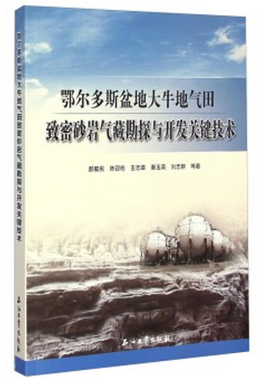 鄂尔多斯盆地大牛地气田致密砂岩气藏勘探与开发关键技术郝蜀民，陈召佑，王志章等著石油工业出版社9787518305001