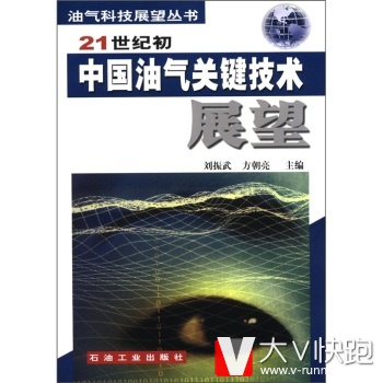 21世纪初中国油气关键技术展望刘