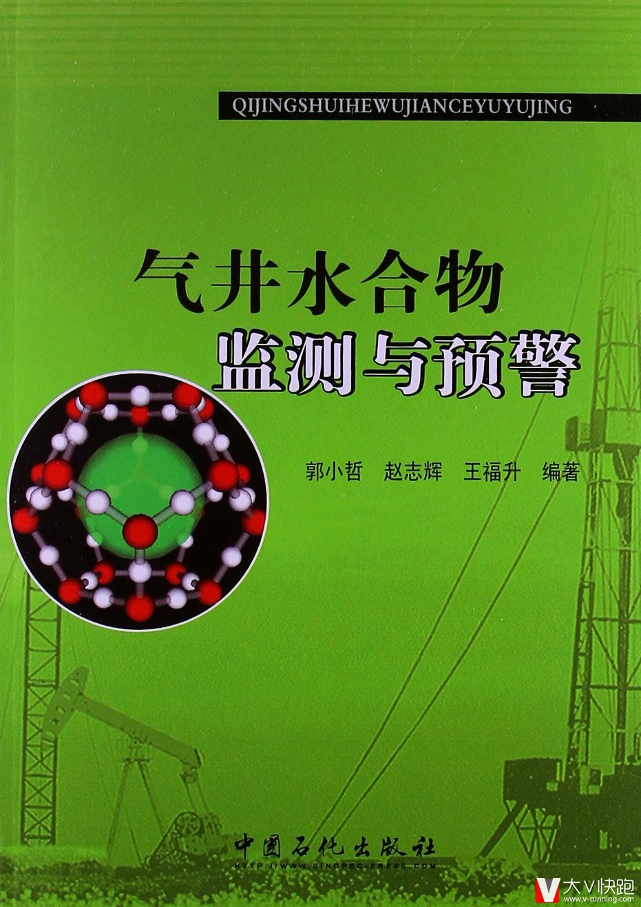 气井水合物的监测与预警郭小哲、赵志辉、王福升(作者)中国石化出版社