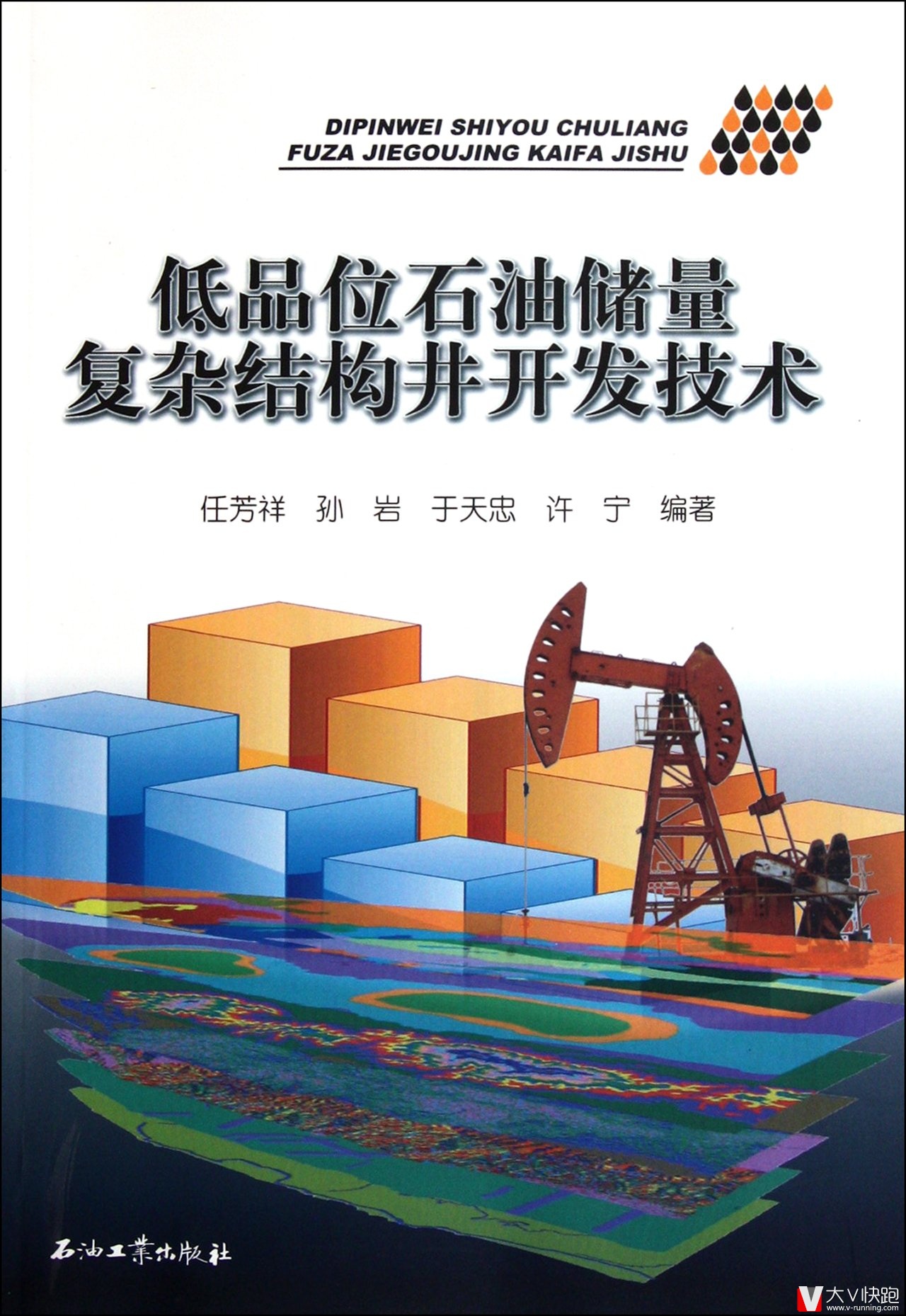 低品位石油储量复杂结构井开发技术任芳祥、孙岩、于天忠、许宁(作者)