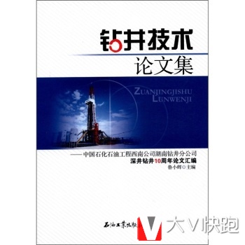 钻井技术论文集：中国石化石油工程西南公司湖南钻井分公司深井钻井10周年论文汇编鲁小辉石油工业出版社9