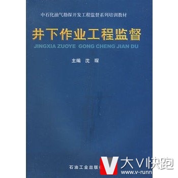 井下作业工程监督沈琛著(中石化油气勘探开发工程监督系列培训教材)现货石油工业出版社9787502151584