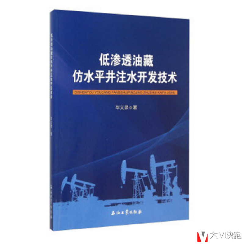 低渗透油藏仿水平井注水开发技术毕义泉著