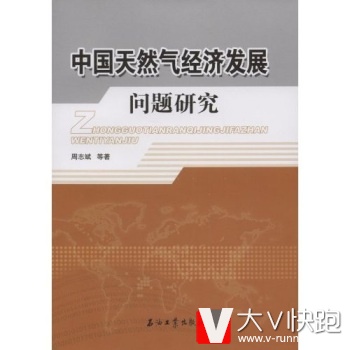 中国天然气经济发展问题研究周志斌石油工业出版社9787502164041