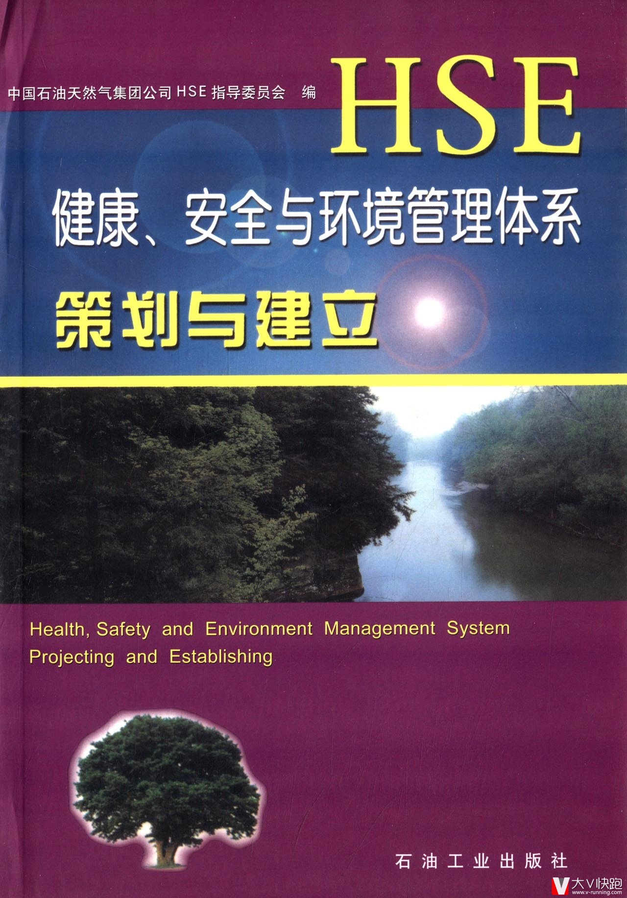 健康、安全与环境管理体系策划与建立HSE董国永(作者)石油工业出版社