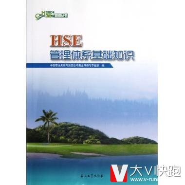 HSE管理体系基础知识中国石油管理丛书现货中国石油HSE管理丛书9787502190804