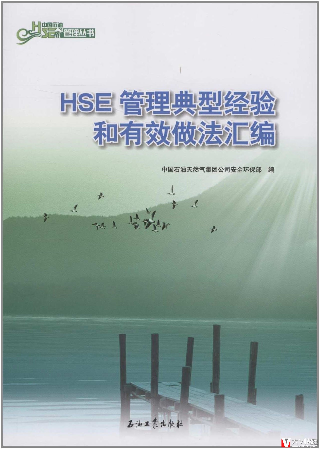 HSE管理典型经验和有效做法汇编中国HSE管理丛书