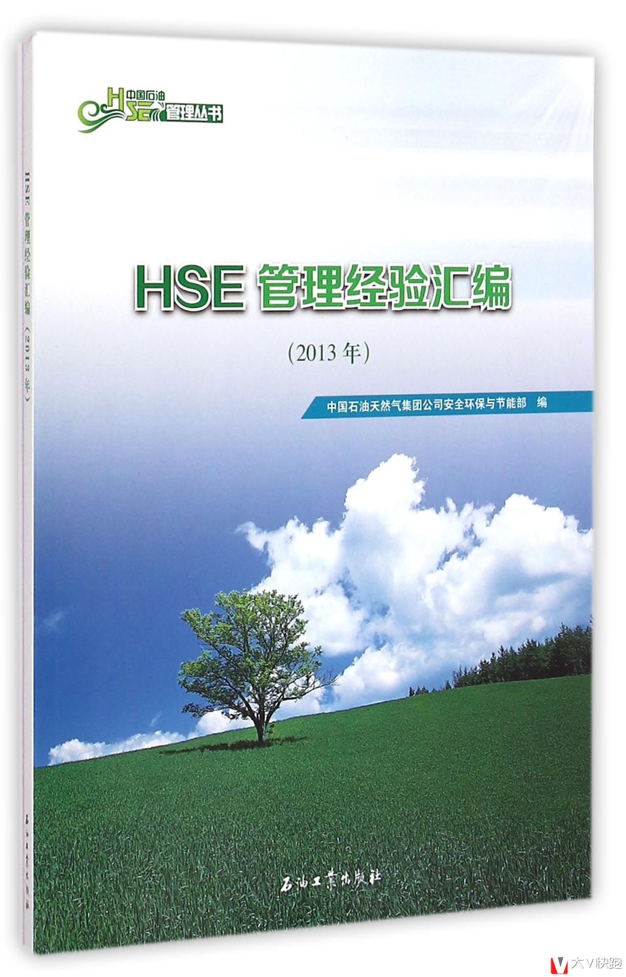 中国石油管理丛书:HSE管理经验汇编(2013年)