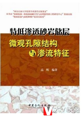 特低渗透砂岩储层微观孔隙结构与渗流特征