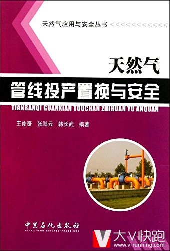 天然气管线投产置换与安全/天然气应用与安全丛书王俊奇、张鹏云、韩长武(作者)