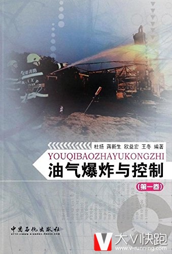 油气爆炸与控制(第1卷)杜扬、蒋新生、欧益宏、王冬(作者)