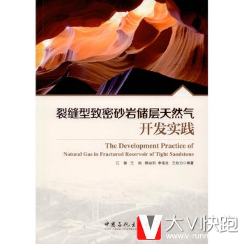 裂缝型致密砂岩储层天然气开发实践[TheDevelopmentPractice